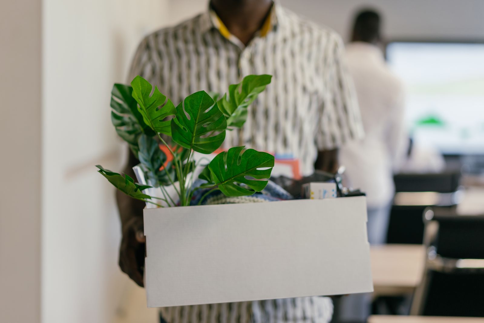 Après la certification, les premiers mois